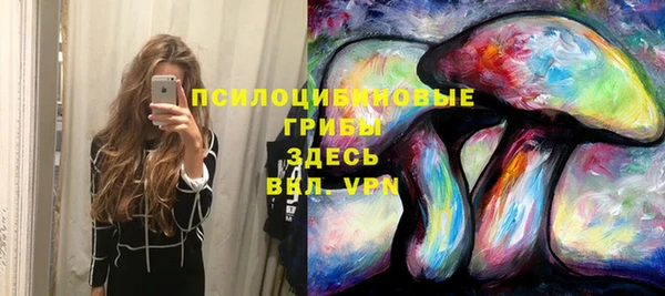 дурь Аркадак
