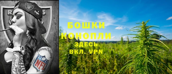 дурь Пересвет