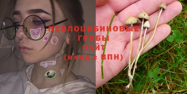 дурь Аркадак
