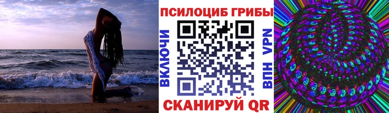 Псилоцибиновые грибы Psilocybe  hydra маркетплейс  Белая Холуница 