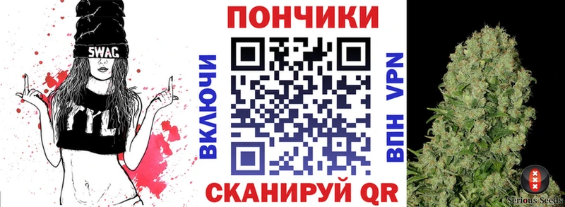 где купить наркоту  Белая Холуница  Бошки марихуана план 